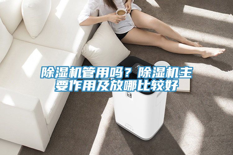 除濕機管用嗎？除濕機主要作用及放哪比較好