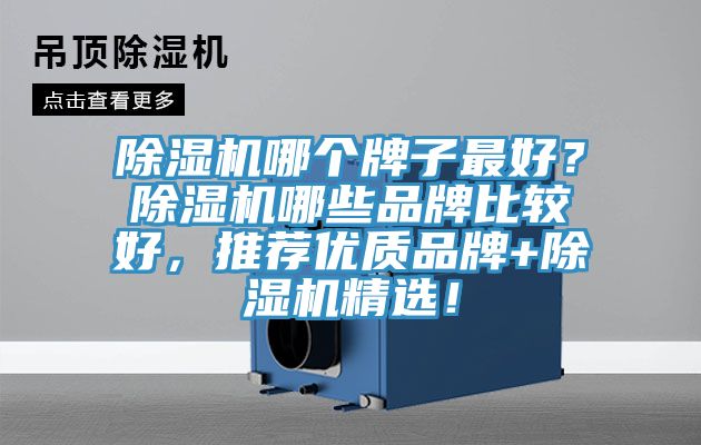 除濕機(jī)哪個(gè)牌子最好？除濕機(jī)哪些品牌比較好，推薦優(yōu)質(zhì)品牌+除濕機(jī)精選！