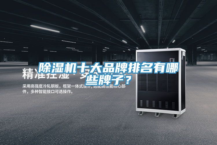 除濕機十大品牌排名有哪些牌子？