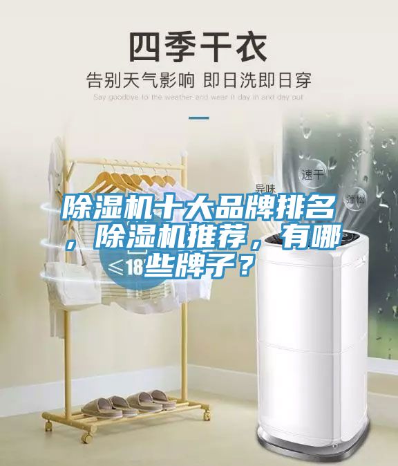 除濕機十大品牌排名，除濕機推薦，有哪些牌子？