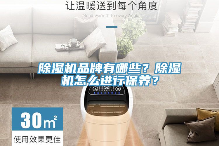 除濕機(jī)品牌有哪些？除濕機(jī)怎么進(jìn)行保養(yǎng)？