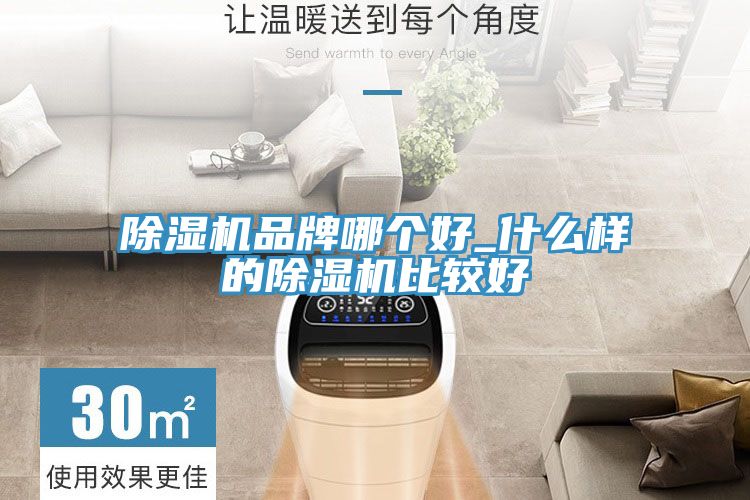 除濕機(jī)品牌哪個(gè)好_什么樣的除濕機(jī)比較好