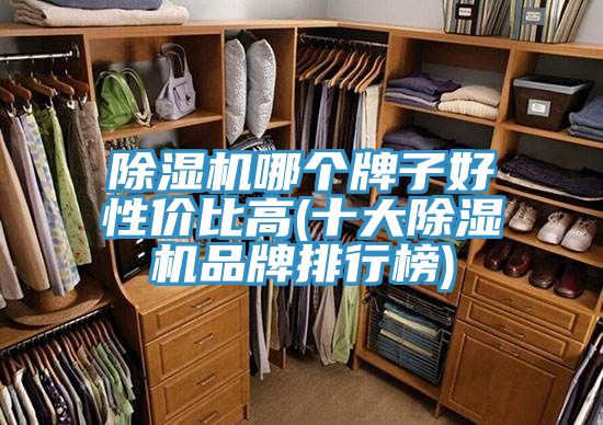 除濕機(jī)哪個(gè)牌子好性價(jià)比高(十大除濕機(jī)品牌排行榜)