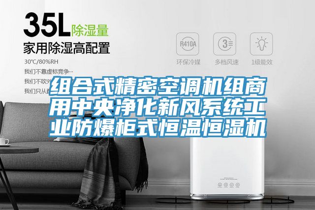 組合式精密空調(diào)機(jī)組商用中央凈化新風(fēng)系統(tǒng)工業(yè)防爆柜式恒溫恒濕機(jī)