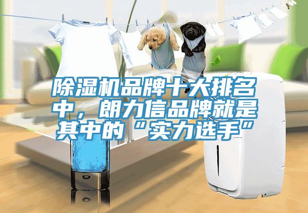 除濕機品牌十大排名中，朗力信品牌就是其中的“實力選手”