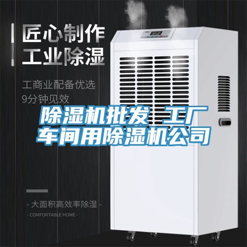 除濕機批發(fā) 工廠車間用除濕機公司
