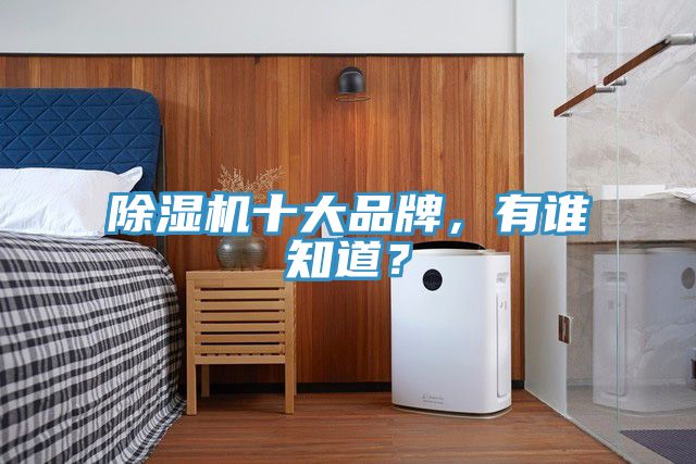除濕機十大品牌，有誰知道？