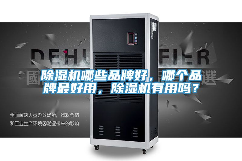 除濕機(jī)哪些品牌好，哪個(gè)品牌最好用，除濕機(jī)有用嗎？