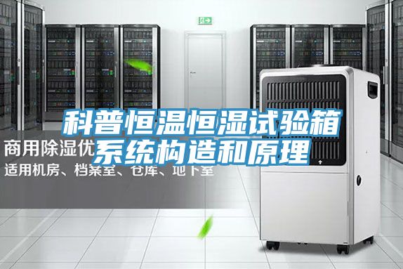 科普恒溫恒濕試驗箱系統(tǒng)構(gòu)造和原理