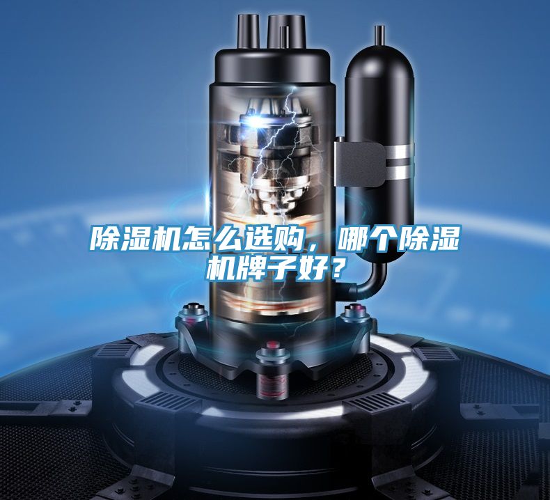 除濕機怎么選購，哪個除濕機牌子好？