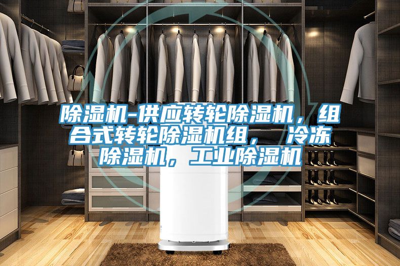 除濕機(jī)-供應(yīng)轉(zhuǎn)輪除濕機(jī)，組合式轉(zhuǎn)輪除濕機(jī)組， 冷凍除濕機(jī)，工業(yè)除濕機(jī)
