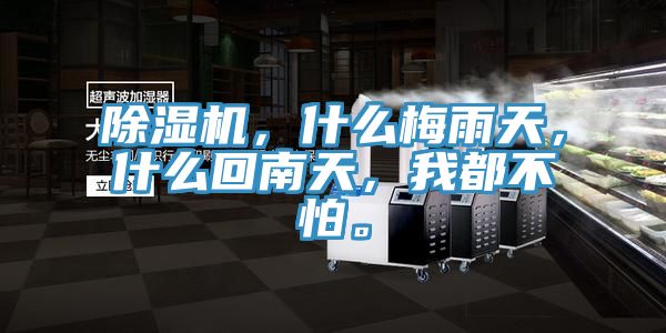 除濕機(jī)，什么梅雨天，什么回南天，我都不怕。