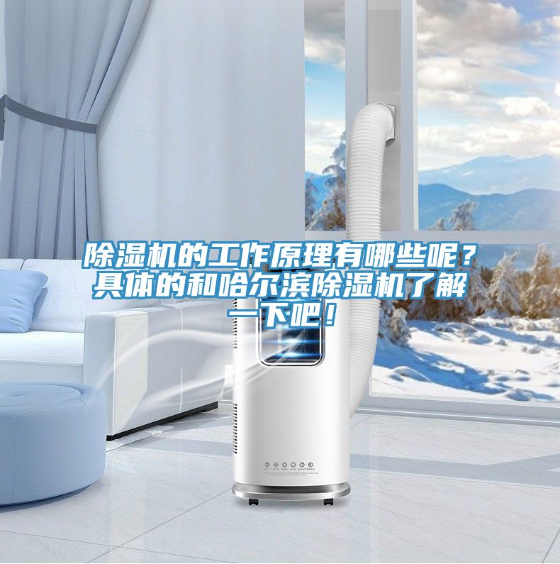 除濕機(jī)的工作原理有哪些呢？具體的和哈爾濱除濕機(jī)了解一下吧！