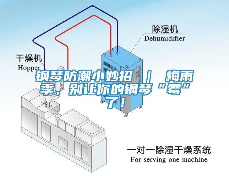 鋼琴防潮小妙招 ｜ 梅雨季，別讓你的鋼琴“霉”了！