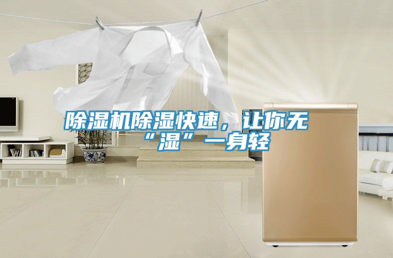 除濕機(jī)除濕快速，讓你無“濕”一身輕