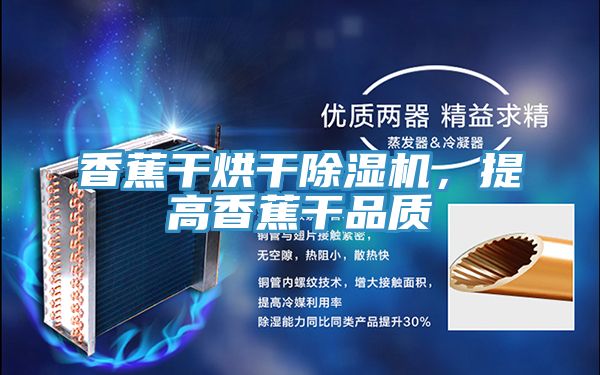 香蕉干烘干除濕機(jī)，提高香蕉干品質(zhì)