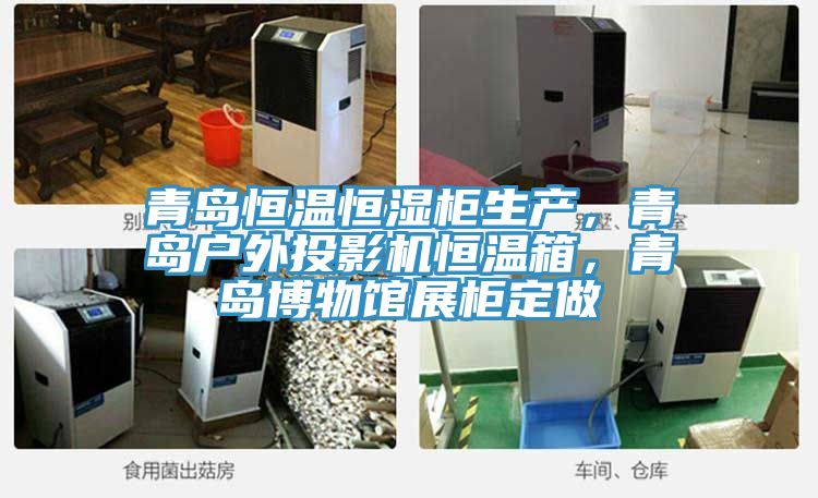 青島恒溫恒濕柜生產(chǎn)，青島戶外投影機恒溫箱，青島博物館展柜定做