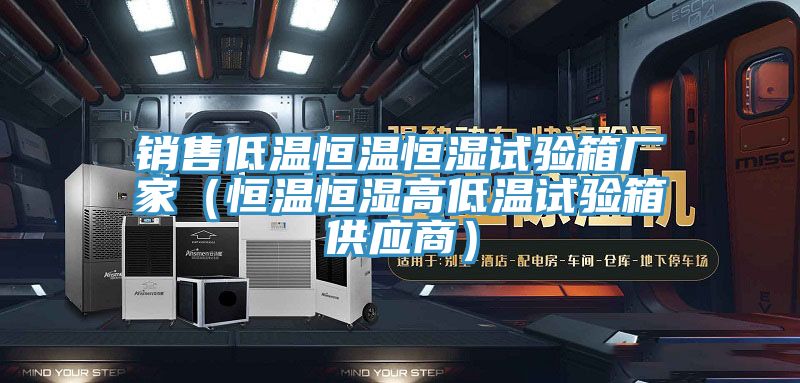 銷售低溫恒溫恒濕試驗箱廠家（恒溫恒濕高低溫試驗箱供應(yīng)商）