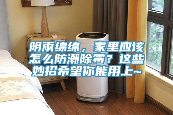 陰雨綿綿，家里應(yīng)該怎么防潮除霉？這些妙招希望你能用上~