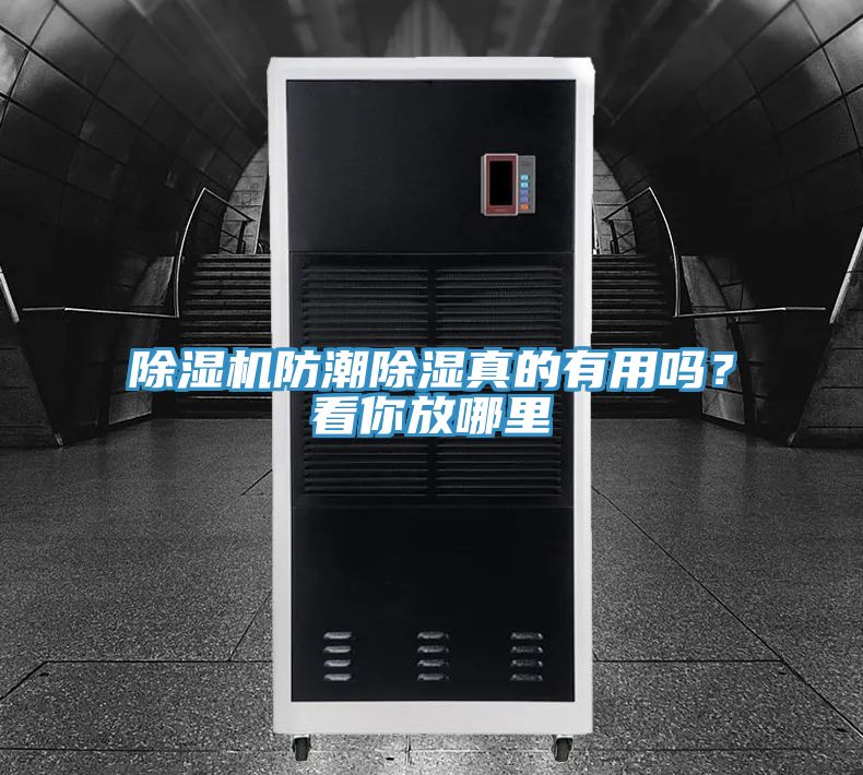 除濕機防潮除濕真的有用嗎？看你放哪里