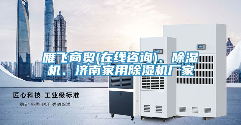雁飛商貿(mào)(在線咨詢)、除濕機(jī)、濟(jì)南家用除濕機(jī)廠家