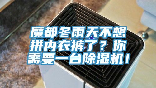 魔都冬雨天不想拼內(nèi)衣褲了？你需要一臺(tái)除濕機(jī)！
