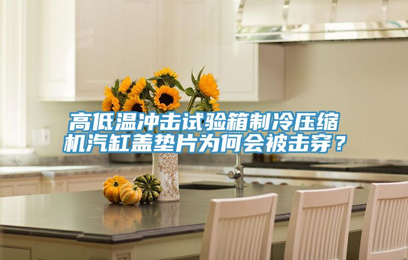 高低溫沖擊試驗箱制冷壓縮機汽缸蓋墊片為何會被擊穿？