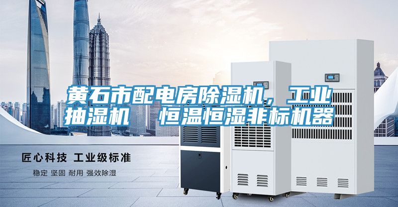 黃石市配電房除濕機，工業(yè)抽濕機  恒溫恒濕非標(biāo)機器