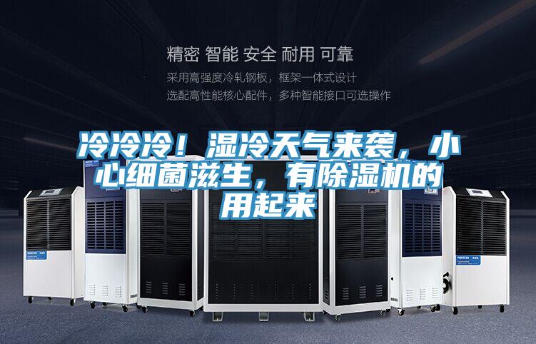 冷冷冷！濕冷天氣來襲，小心細菌滋生，有除濕機的用起來