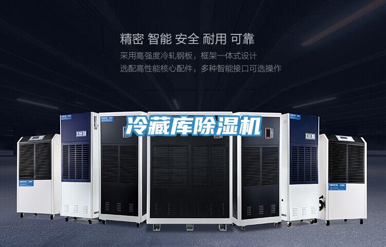 冷藏庫(kù)除濕機(jī)
