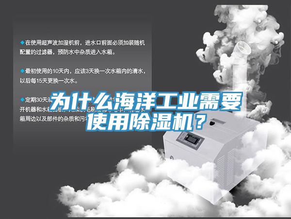 為什么海洋工業(yè)需要使用除濕機(jī)？