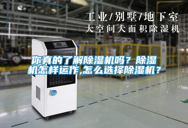 你真的了解除濕機(jī)嗎？除濕機(jī)怎樣運(yùn)作,怎么選擇除濕機(jī)？