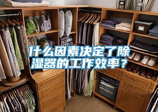 什么因素決定了除濕器的工作效率？