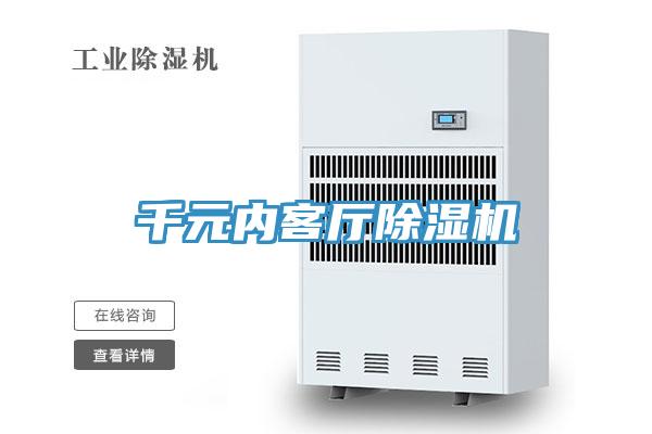 千元內(nèi)客廳除濕機(jī)