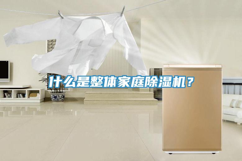 什么是整體家庭除濕機(jī)？