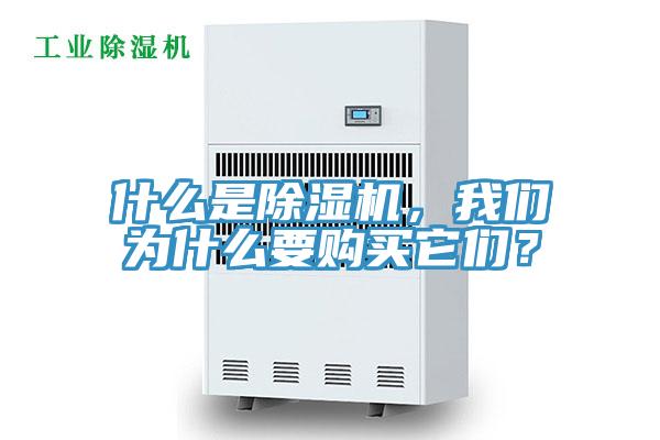 什么是除濕機，我們?yōu)槭裁匆徺I它們？