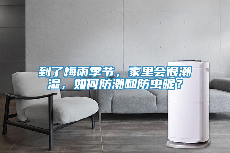 到了梅雨季節(jié)，家里會(huì)很潮濕，如何防潮和防蟲呢？