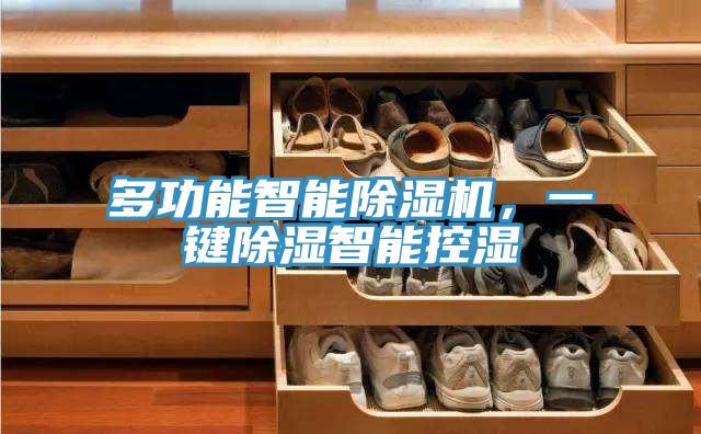 多功能智能除濕機(jī)，一鍵除濕智能控濕